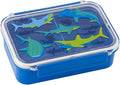 Bento Boxes Shark (F18) 700 ML