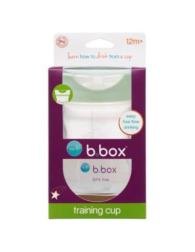 Training Cup - sage