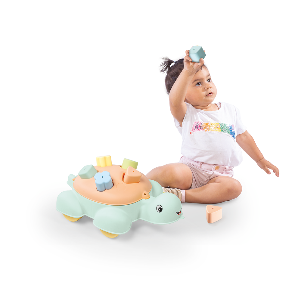 TURTLE SHAPE SORTER 5 PCS
