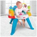 Baby Move Activity Center