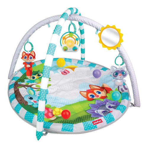 Playspace Play gym and Ball pit