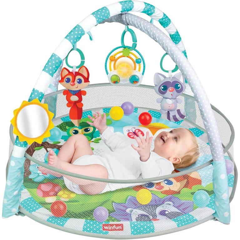 Playspace Play gym and Ball pit
