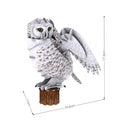 Snowy Owl (62 pcs.)