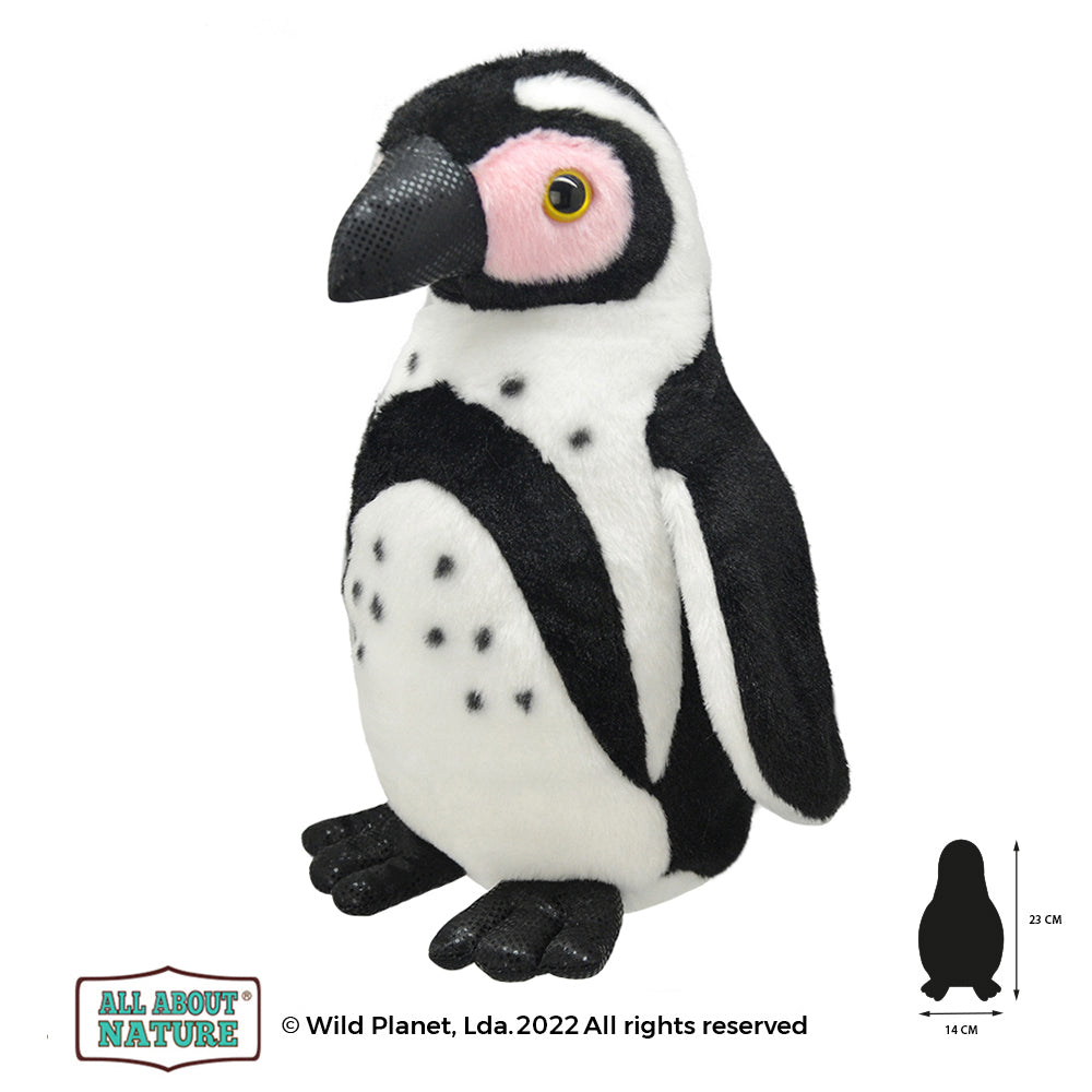 Plush Toy Cape Penguin