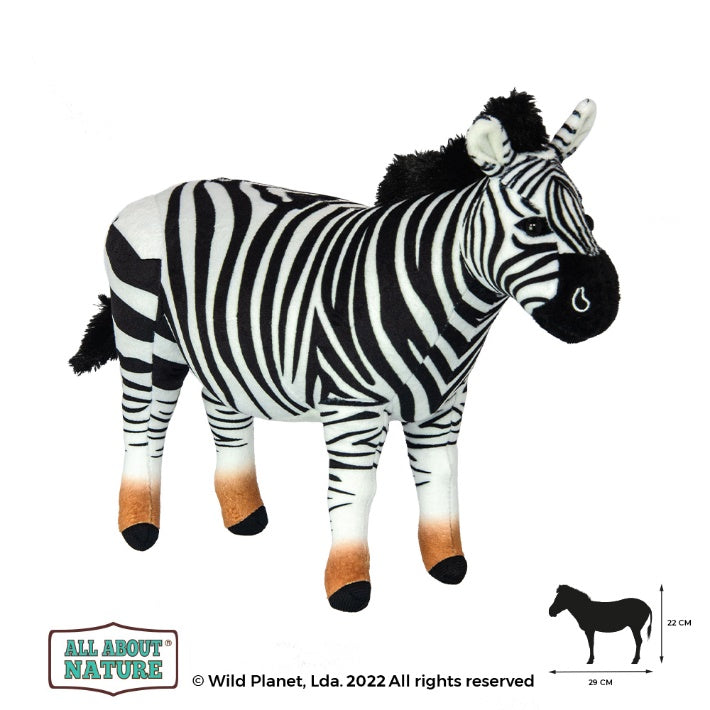 Plush Toy Zebra