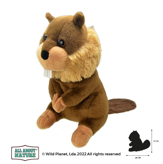 Plush Toy Beaver