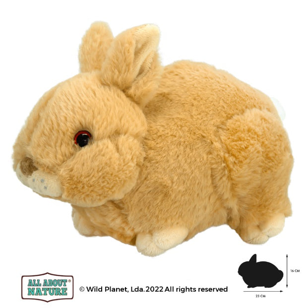 Plush Toy Babby Rabbit
