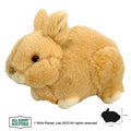Plush Toy Babby Rabbit