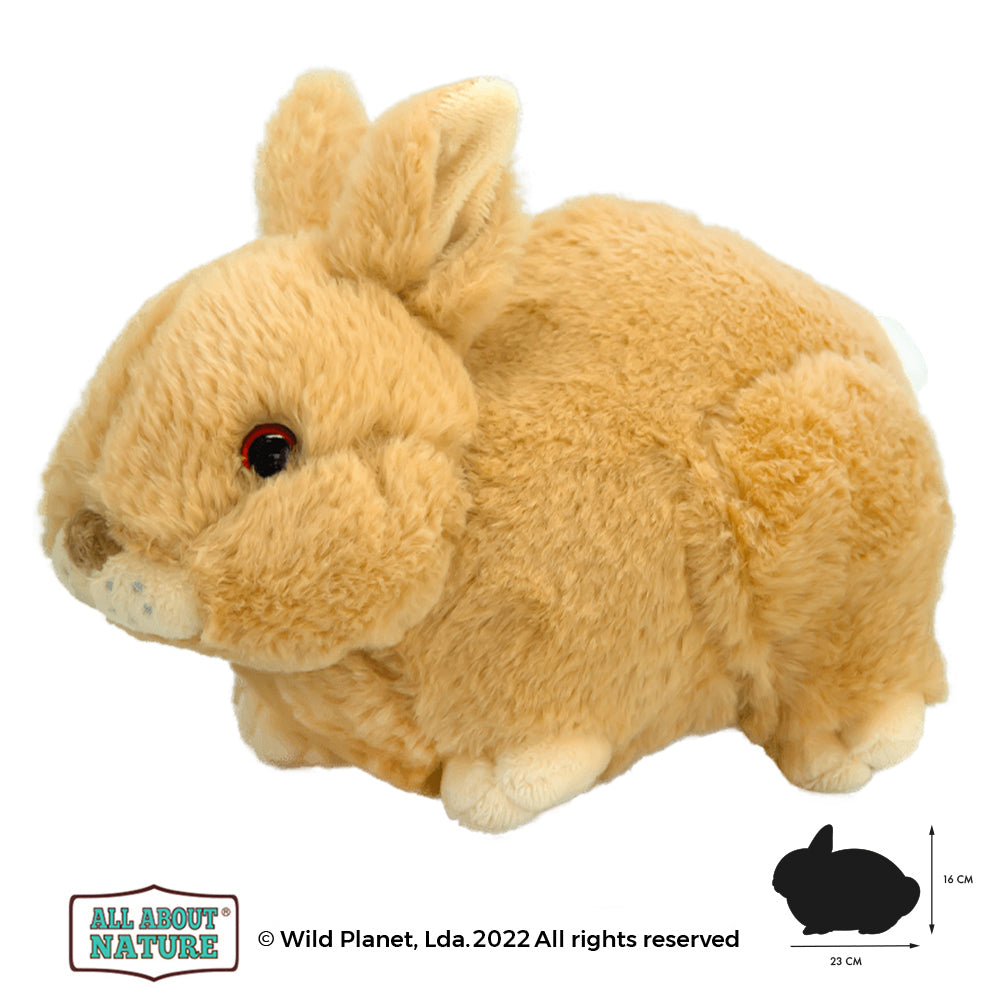 Plush Toy Babby Rabbit
