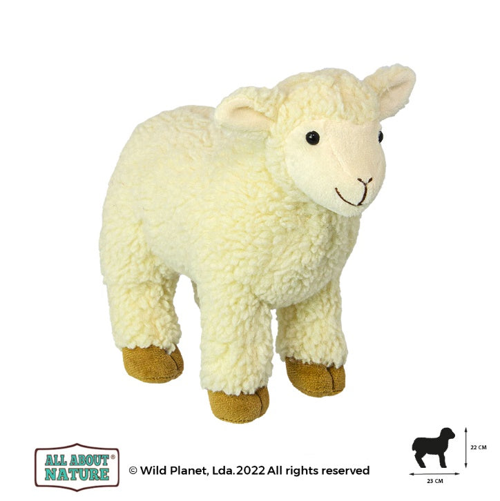 Plush Toy Baby Sheep