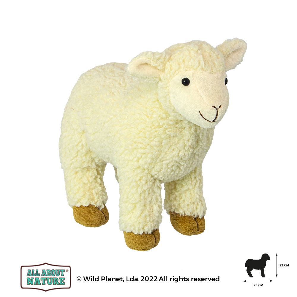 Plush Toy Baby Sheep